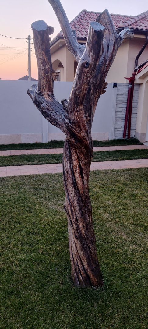 CASA INDIVIDUALA 4 CAMERE IN SAG - ZONA MANASTIRE - Poză 18