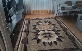 Apartament 1 Camera | 28 Mp | Balcon | Gheorgheni Detunata - Poză 2