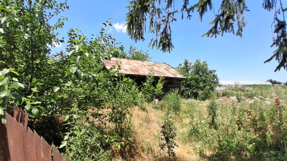 Vânzare teren Ilfov -Vidra | 3524 mp - Poză 5