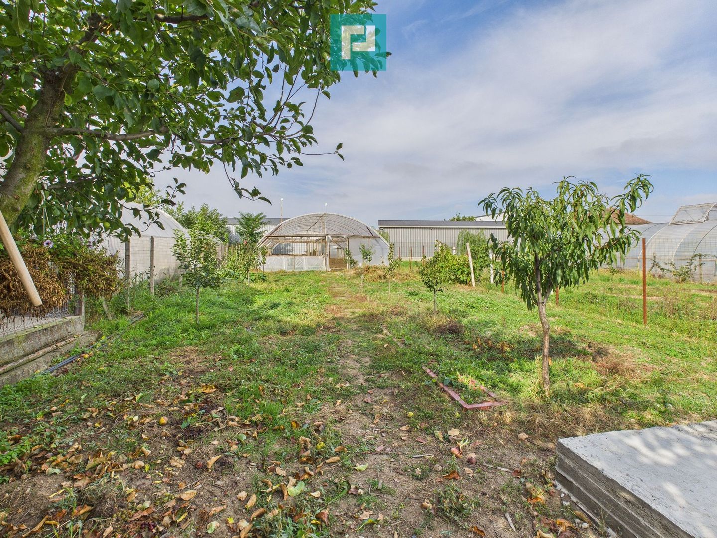 Casă cu 3 camere și teren generos, Pâncota - Poză 14