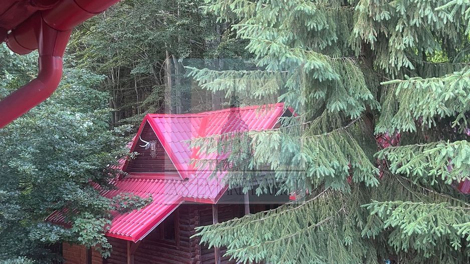 Pensiune de inchiriat/ Predeal - Poză 18