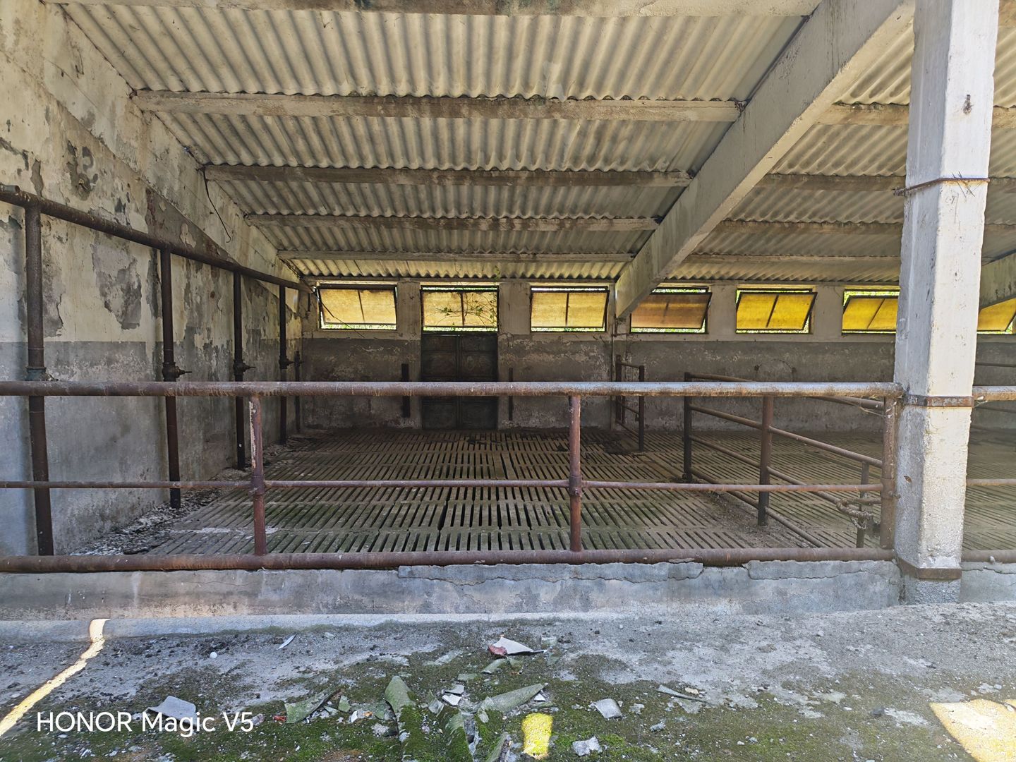 Spațiu industrial -fermă Orțișoara - Poză 5