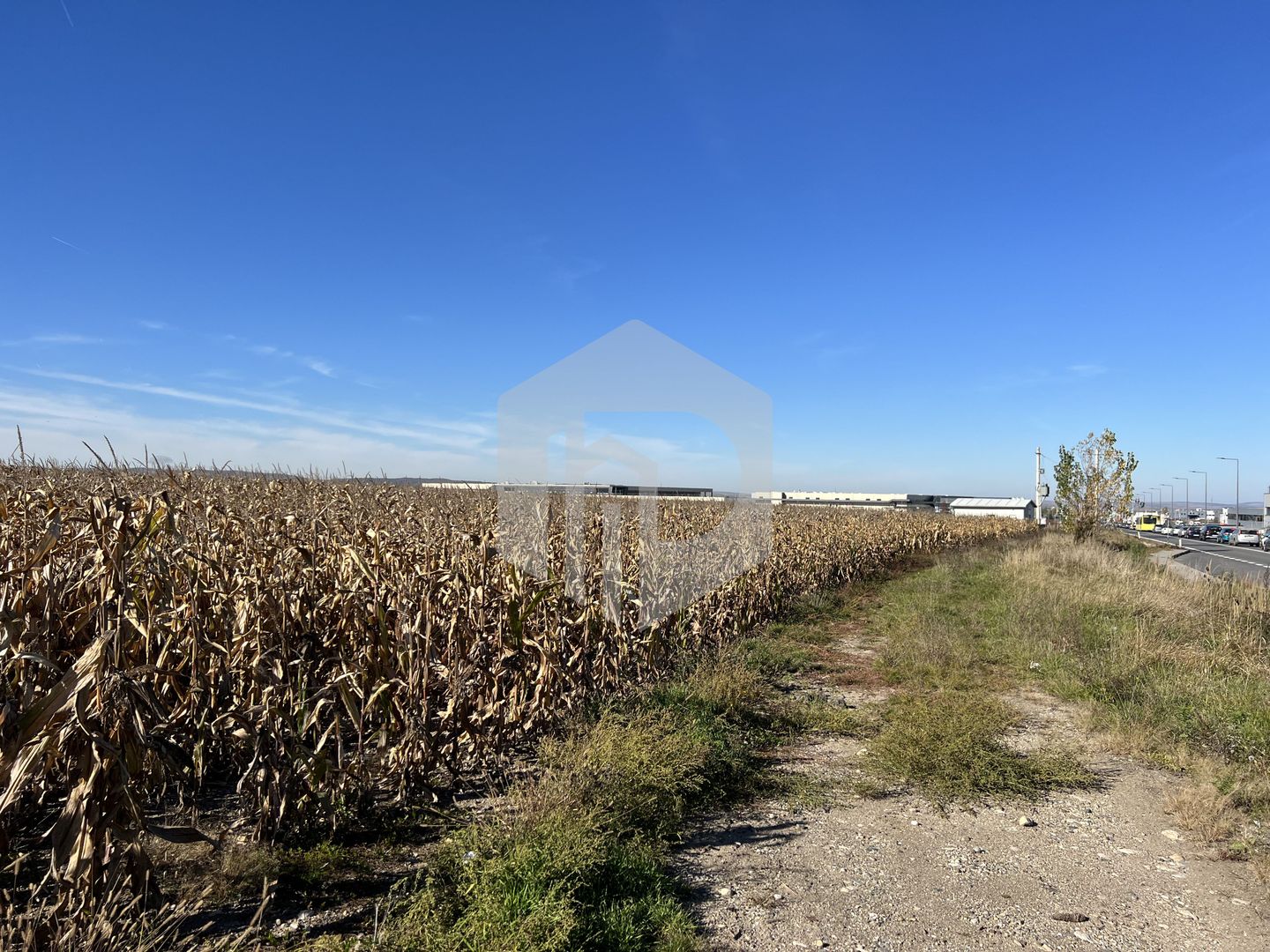 Teren industrial in zona Vest- deschidere la drum principal - Poză 3