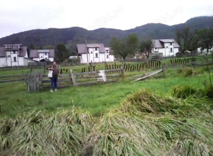 Teren Predelut, Bran - Poză 2