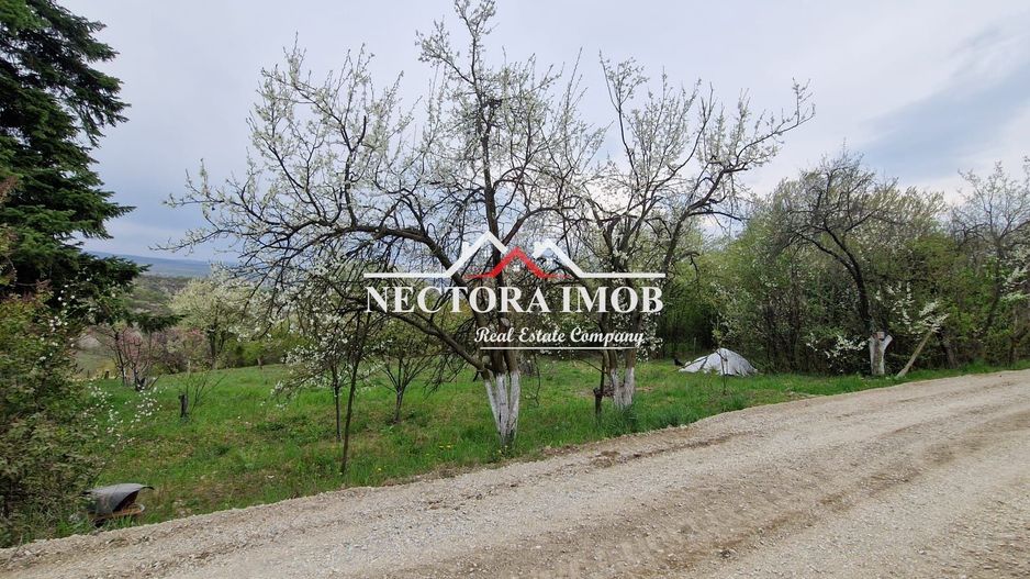 NECTORA IMOB-Teren Zona Podgoria,3400 mp (Intravilan + Extravilan) - Poză 4