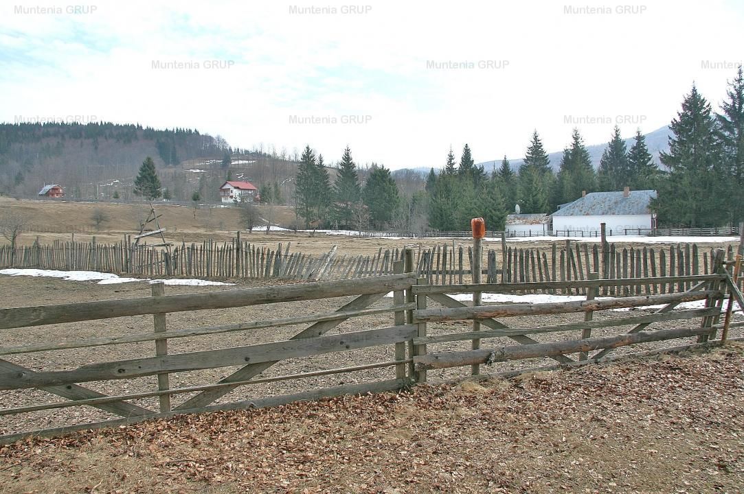 VALEA DOFTANEI - Traisteni, langa Conacul Dascalu, vanzare 2.537 mp. teren - Poză 16