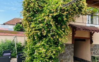Casă de vânzare | Șeica Mare | 2 corpuri | teren 1.450 mp - Poză 4