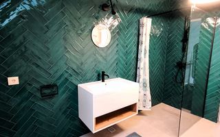 Casă individuală, 8 ari teren – Valea Borcutului - Poză 7