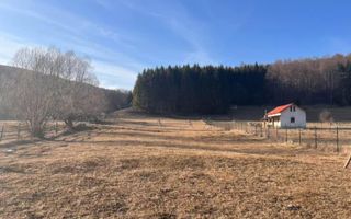 Teren intravilan 4521mp lângă pădure-valea Doftanei -Calea Brasovului - Poză 13