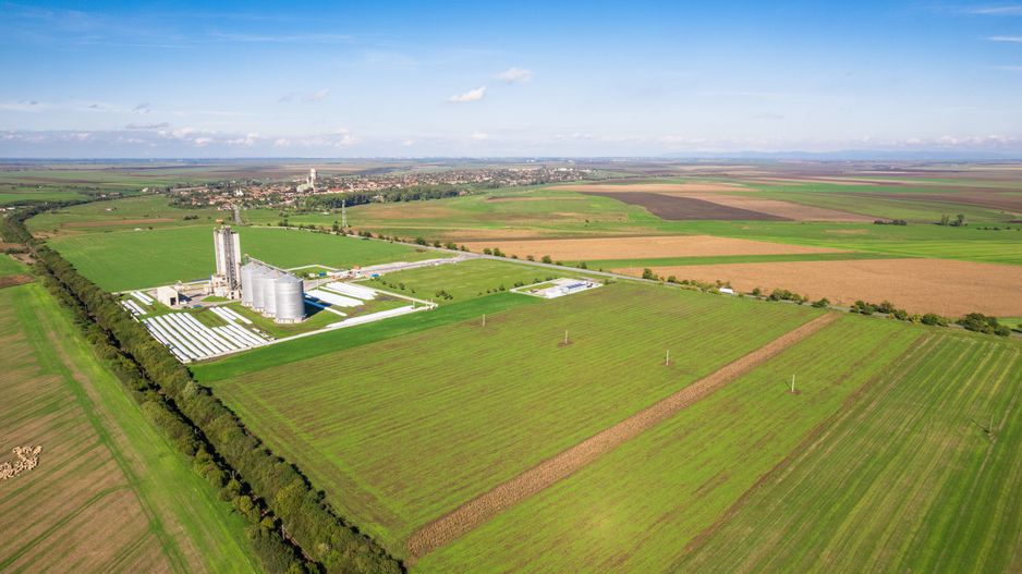 Teren de 104000 mp în Vinga - Poză 5