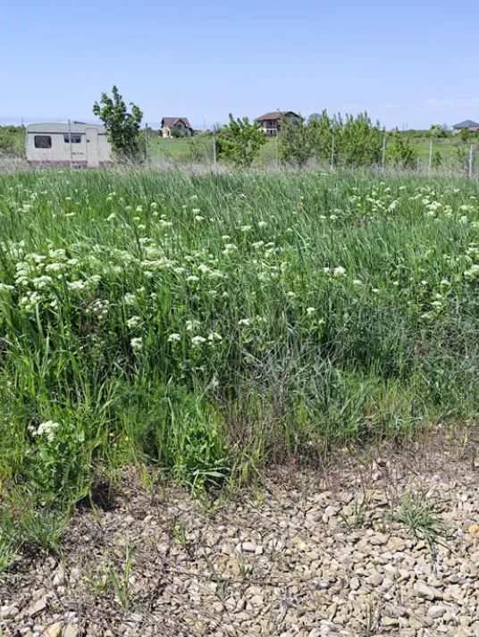 Teren intravilan Peris | 400 mp | Oportunitate investitie - Poză 8