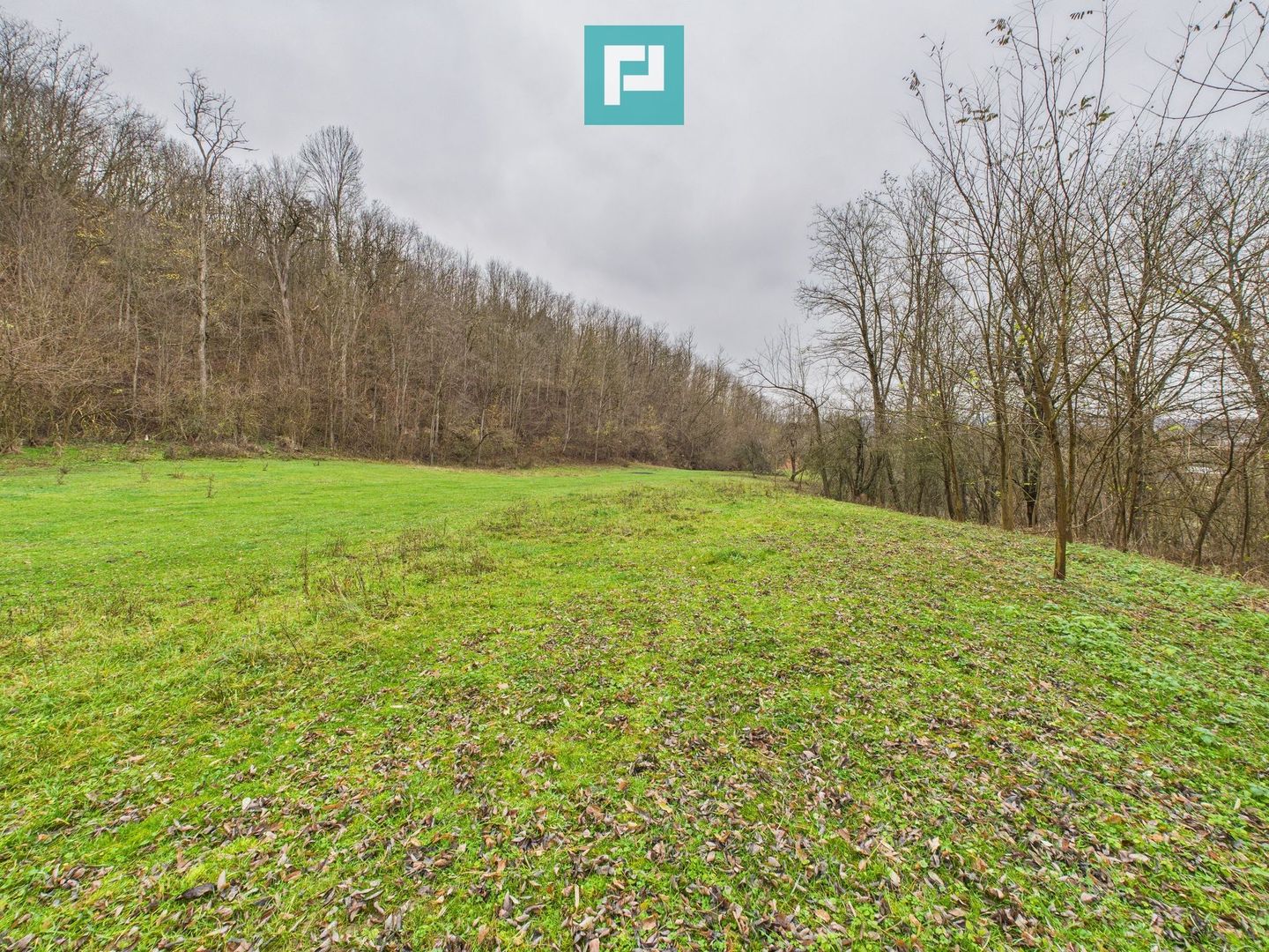 Casă cu teren de 24.679,73 mp, în Hălmagiu, Arad - Poză 23