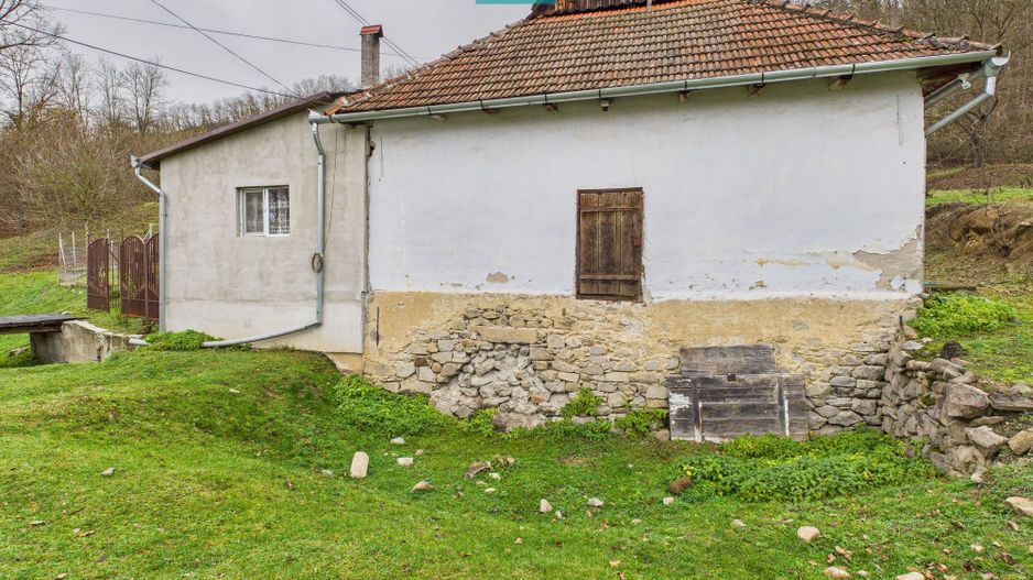 Casă cu teren de 24.679,73 mp, în Hălmagiu, Arad - Poză 7