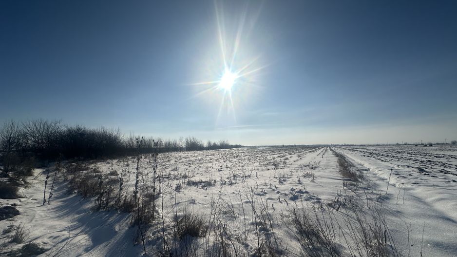 Teren Extravilan | 52 ari | Maneuti | Front 26 m | 55.500 € - Poză 3