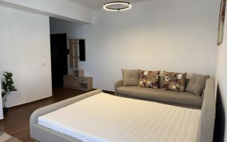 Apartament 1 cameră de închiriat, 42 mp, Șoseaua Păcurari, Iași - Poză 3