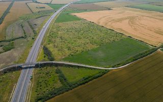 Teren 12 ha la Autostrada A1 cu PUZ aprobat - Poză 7