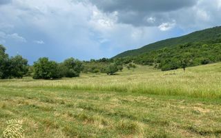 Teren 7200 mp-investitie-Sieu Magherus la 16 km de Bistrita - Poză 8