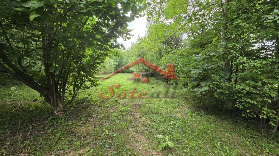 Teren intravilan de vânzare în Cornu de Sus – 1.363 mp fara inclinatie - Poză 5