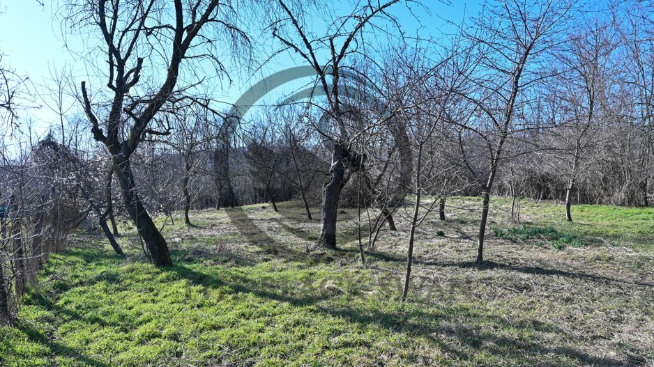 Case de vânzare | 2.128 mp teren | Filipeștii de Pădure | Comision 0% - Poză 19