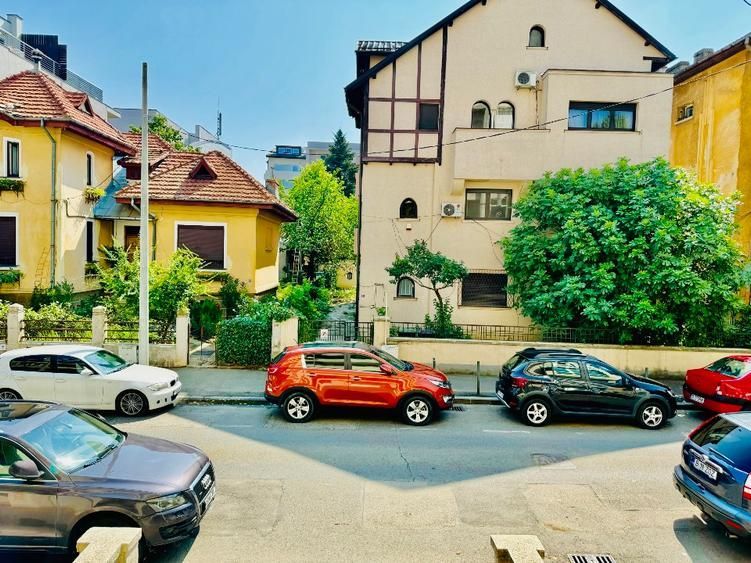 Hochparter generos de vanzare|  langa Parcul Herastrau - Poză 2