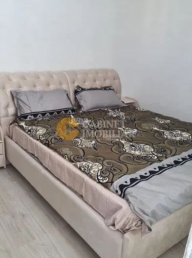 Chirie - 2 camere - Copou - Poză 4