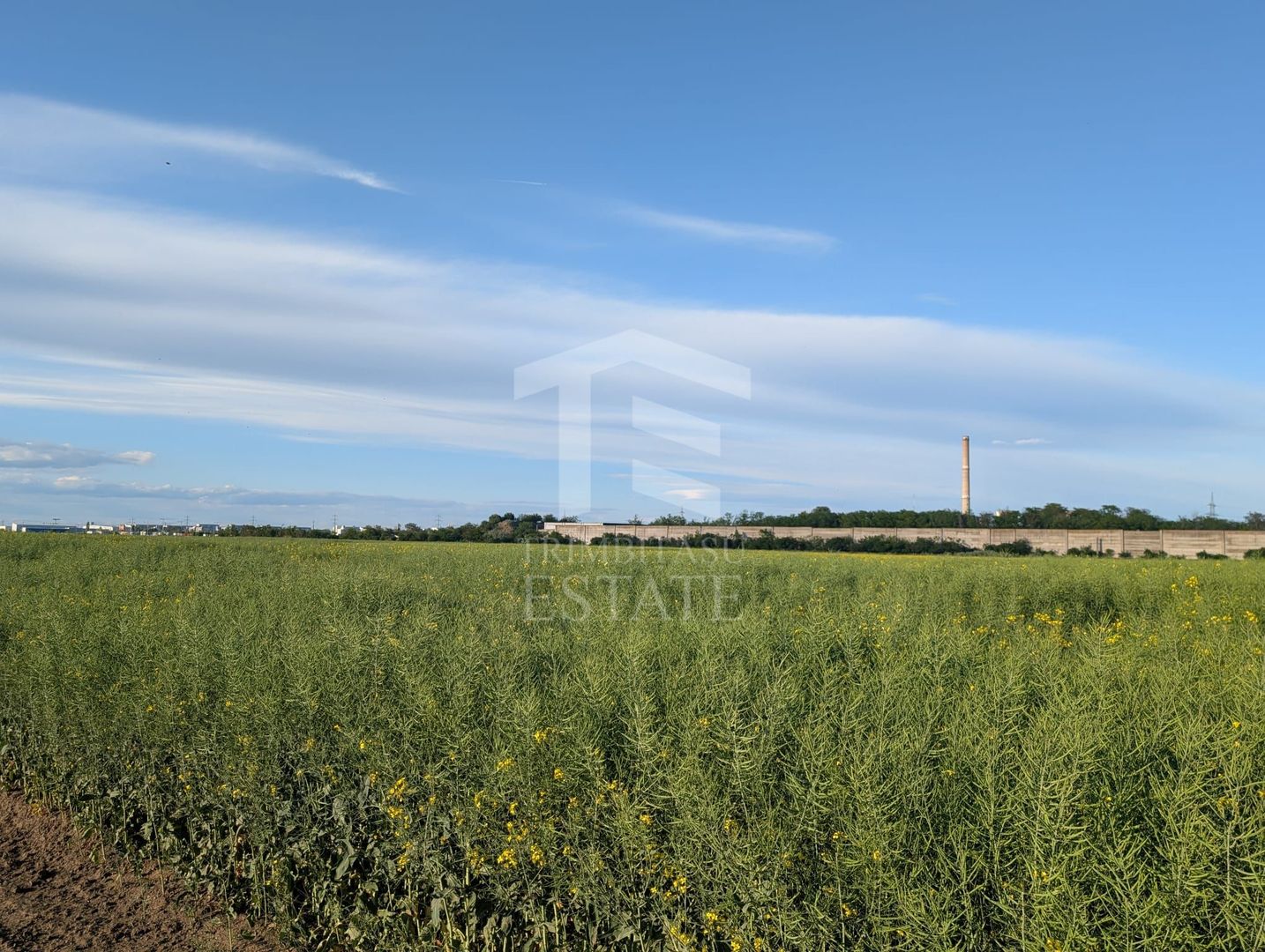Teren de vanzare Domnești - Str. Narciselor - 20312mp - Poză 5