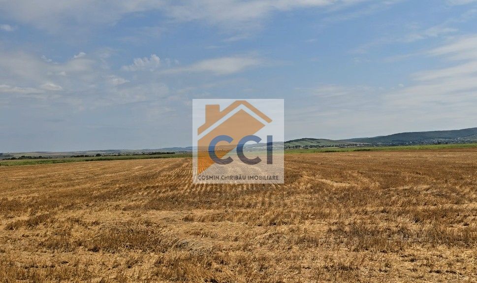 Teren intravilan– 50.000 mp, Bacău, Șoseaua Hol - Poză 9