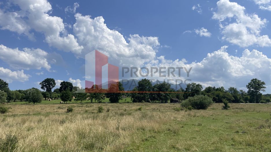 Teren de vanzare in  Tohanu Nou-Sohodol 6200 mp - Poză 8