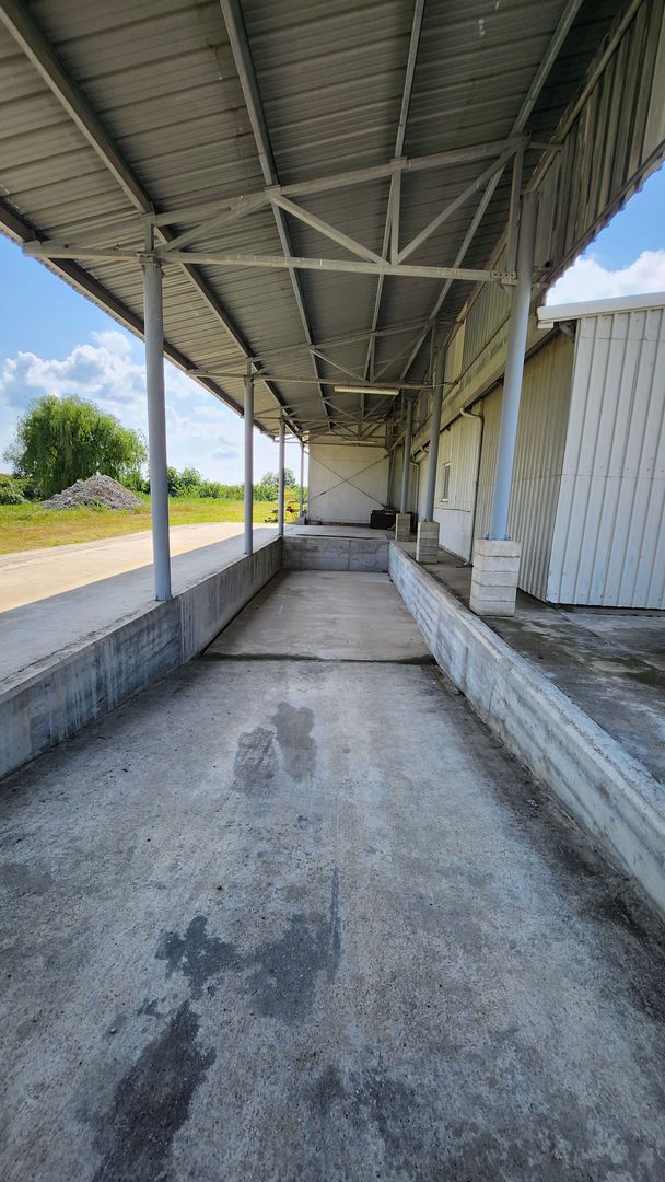 Spatiu industrial productie/ depozitare, Timiș - Poză 11