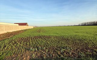 27.200 mp comuna Santandrei - Bihor - Oradea - Poză 5