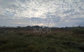 Teren extravilan - 7575 Selimbar - Poză 1