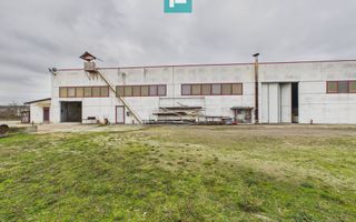 Hală de producție, cu birouri și teren, în Sebiș - Poză 64