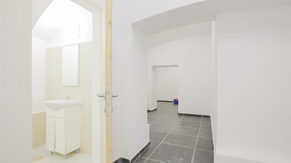 Sub mantia arhitecturala istorica a Cetatii Timisoarei, Spatiu comercial - Poză 17
