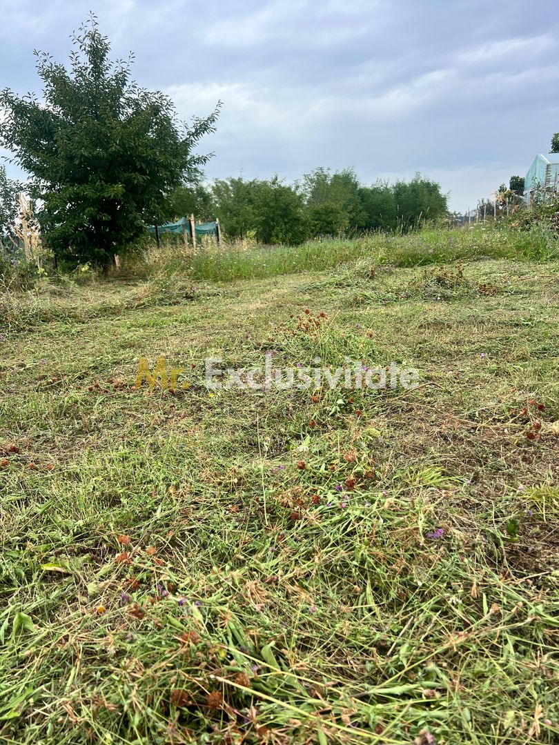Teren intravilan în Băbana 1575 mp intravilan - Poză 4