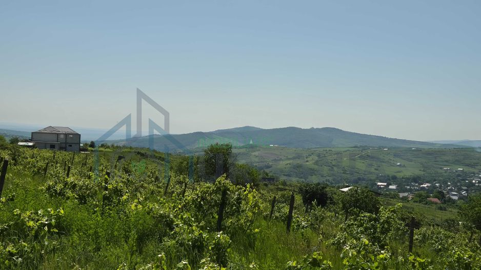 Teren intravilan Tomești-Goruni - Poză 1