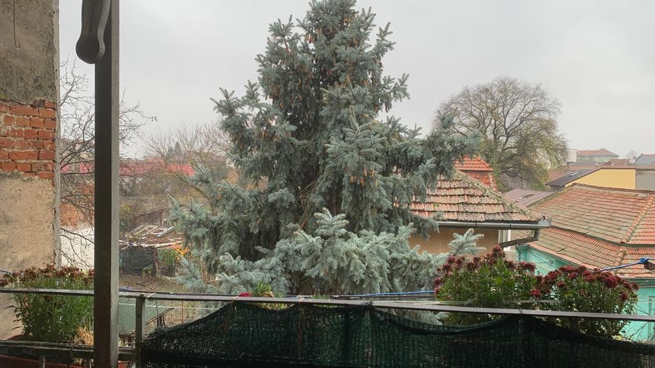 Apartament de 3 camere, 80 mp, in Piata Balcescu - Poză 14