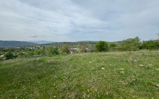 TEREN INTRAVILAN, 7472 MP, VALEA MARE PRAVAT, ARGES - Poză 8