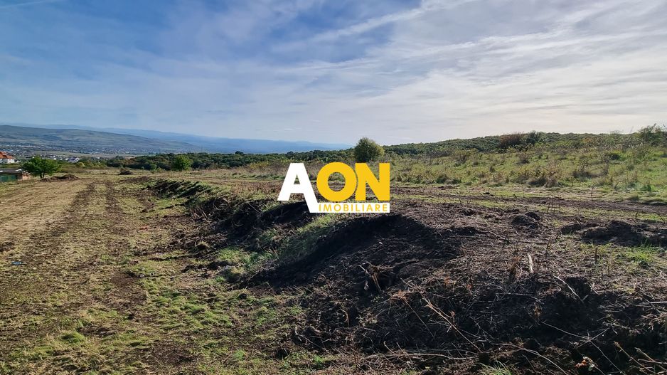 De vanzare teren intravilan 6400mp, parcelabil, zona schit - Poză 2