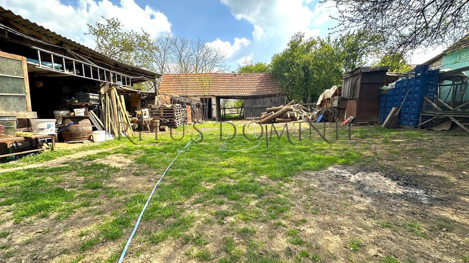 Teren Intravilan de Vânzare, Cetariu, 5450mp - Poză 6