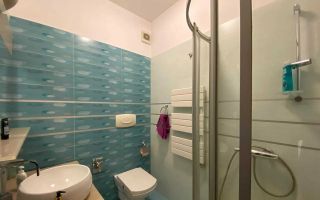 Inchiriere apartament 5 camere 160 mp | Dorobanti - Poză 7