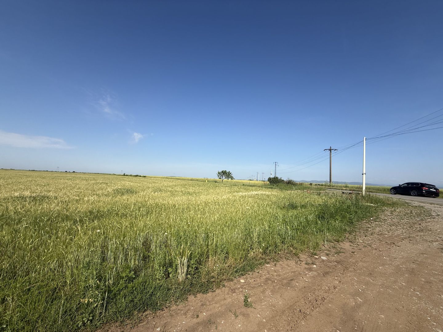 Teren 10 hectare pretabil pt panouri solare-Aricesti Rahtivani - Poză 4