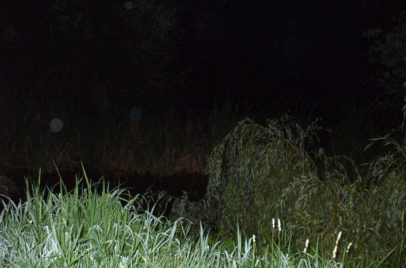 Casa de vanzare Albestii-Arges - Poză 32