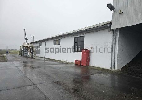 Proprietate industrială  Platformă logistică de vânzare în Tinca - Poză 9