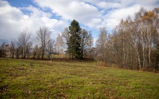 Teren intravilan, cu PUZ, Bran Tohanita,  SE ACCEPTĂ ȘI SCHIMB - Poză 3