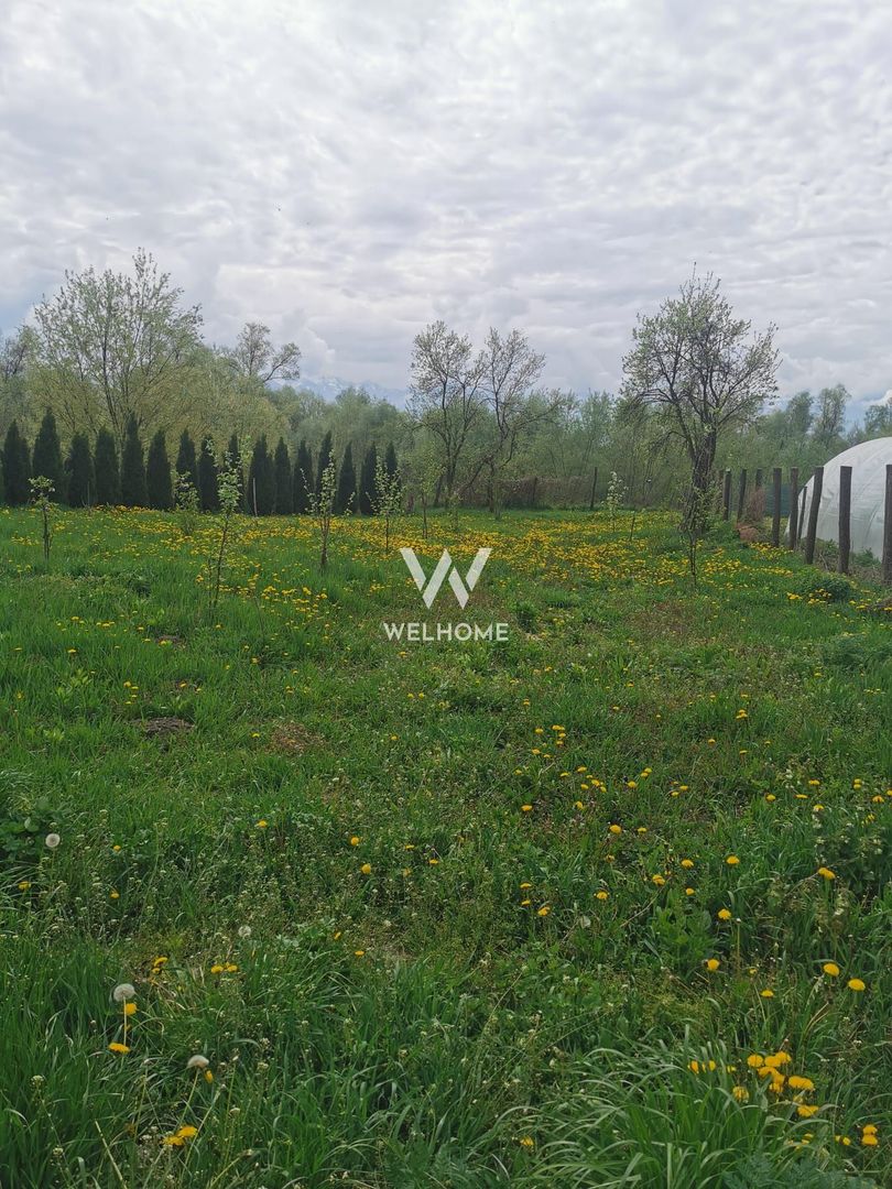 Casa noua, inconjurata de natura in Colun - Sibiu - Poză 12