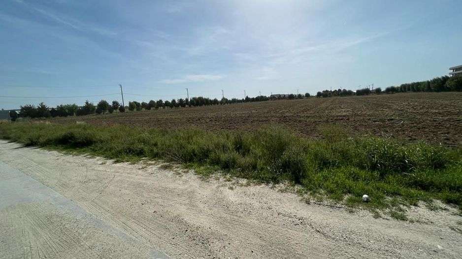 Teren Investitie - Pretabil Industrial, Logistica - Poză 4