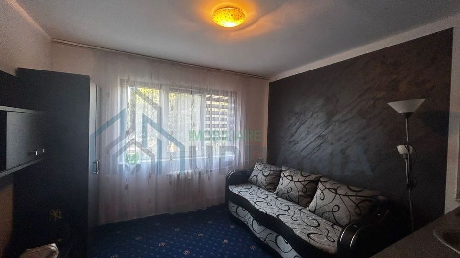 Propietar - camera camin Pacurari - Poză 1