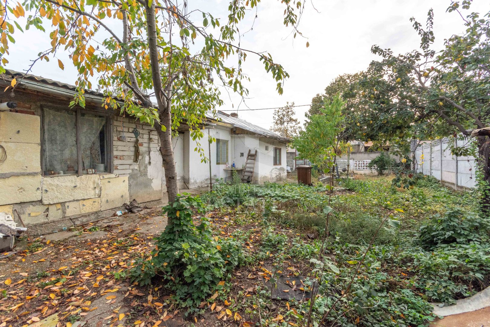 Straulesti - str. Pietrosita nr. 10, Casa demolabila cu teren 388 mp - Poză 5