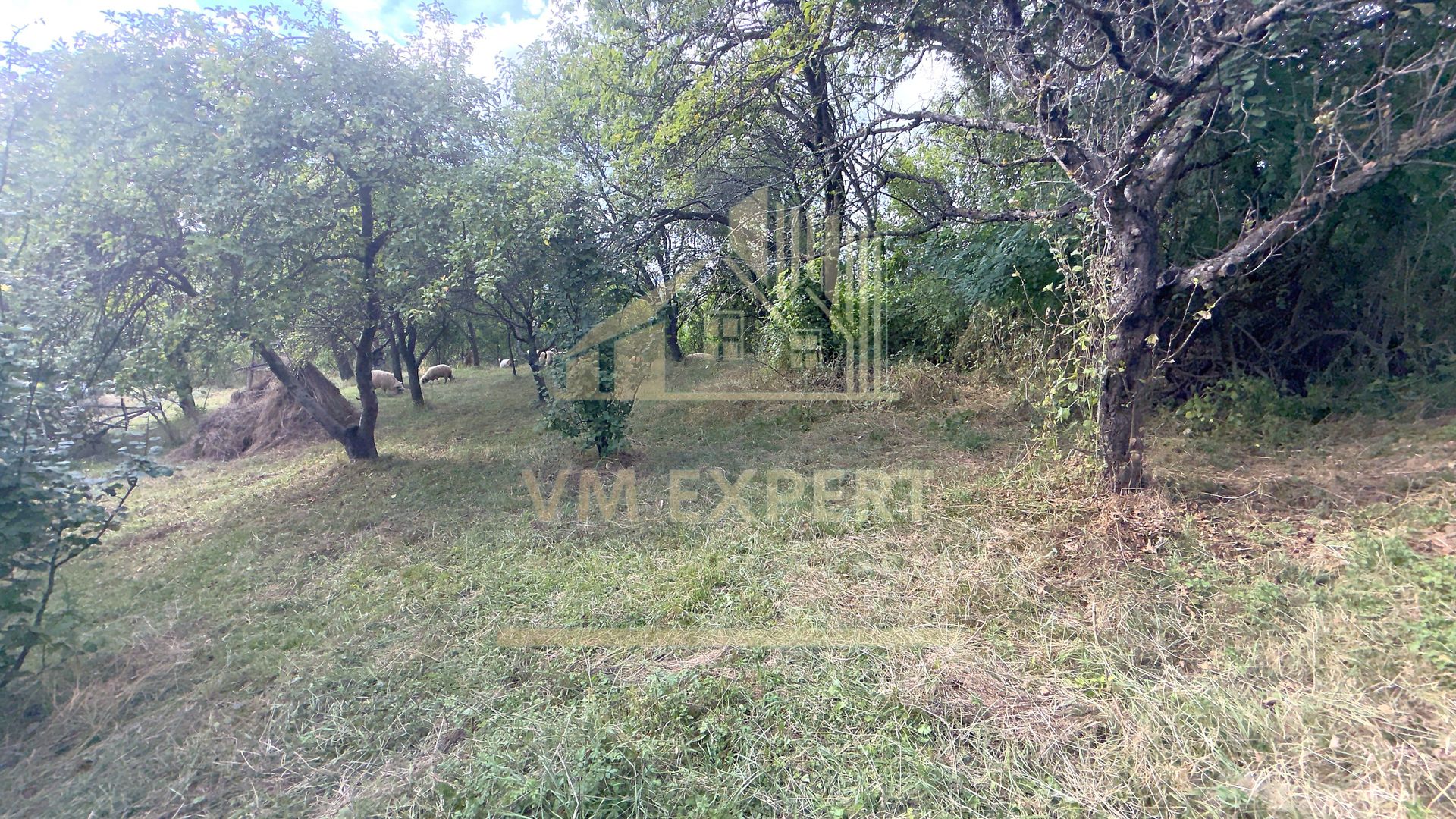 CASA 3 CAMERE TEREN 7770 MP BOTENI ARGEȘ - Poză 19