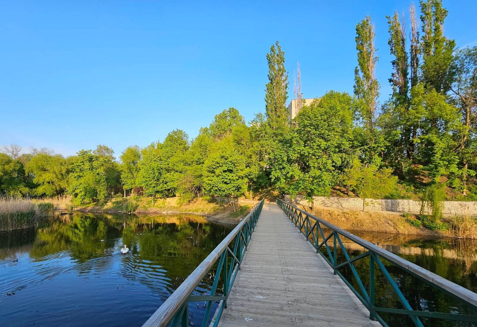 Teren metrou Republica 6000 mp autorizatie 26000 mp Parcul Sticlariei - Poză 13